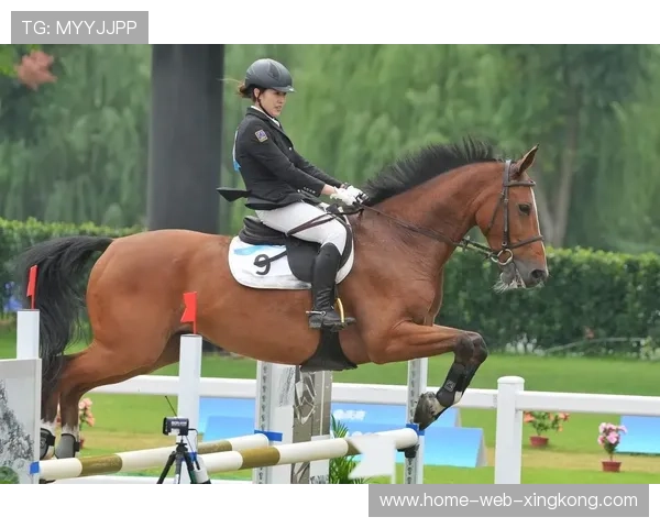 现代五项选手骑马赛段突破重围